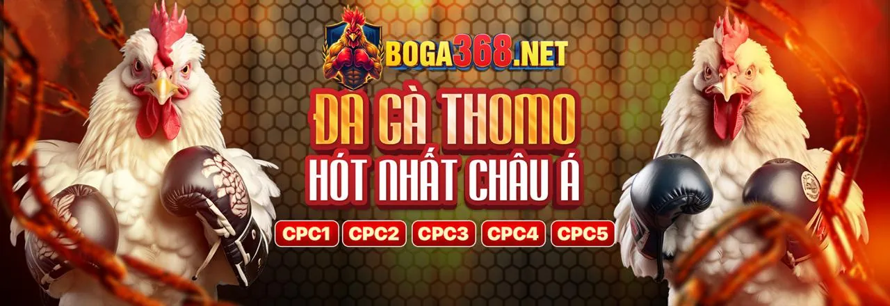 Chương trình VIP độc quyền của 33bet link mới